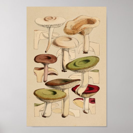  paddenstoelen Groene Rode Kunst afdrukken Poster (Voorkant)