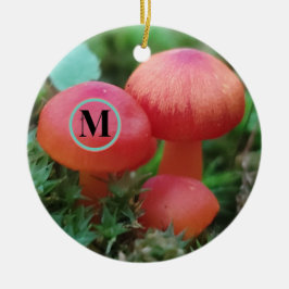 Paddenstoelen helder rood met monogram keramisch ornament