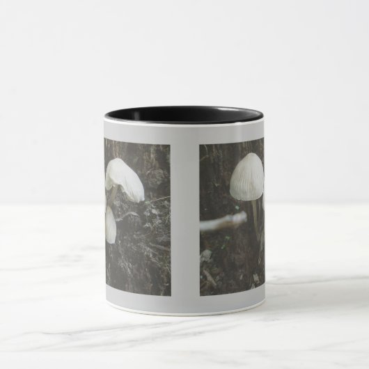 Paddenstoelen in de Mok van de pomp (Midden)