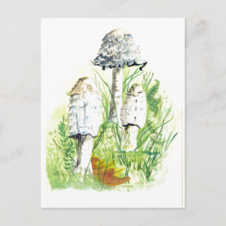 Paddenstoelen in de Natuur - Kleurenkunst in het w Briefkaart