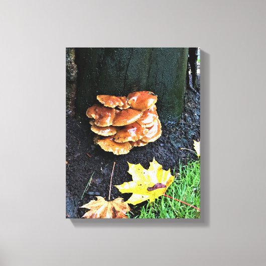 Paddenstoelen in een boom, Oregon Canvas Afdruk (Voorkant)