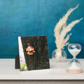 Paddenstoelen in een boom, Oregon Fotoplaat (Insitu)