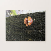 Paddenstoelen in een boom, Oregon Legpuzzel (Horizontaal)