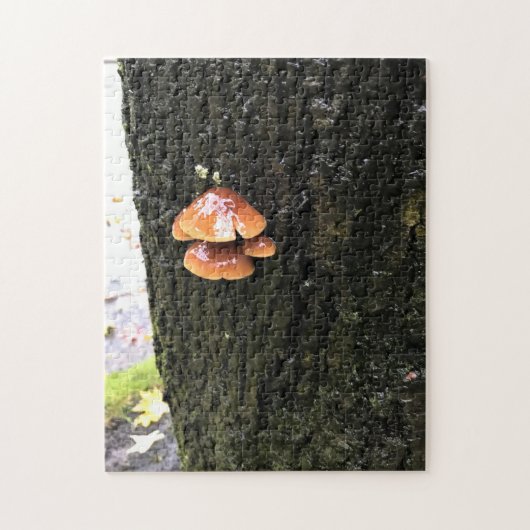 Paddenstoelen in een boom, Oregon Legpuzzel (Verticaal)