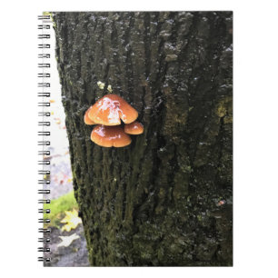 Paddenstoelen in een boom, Oregon Notitieboek