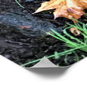 Paddenstoelen in een boom, Oregon Poster (Hoek)