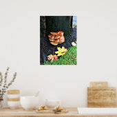 Paddenstoelen in een boom, Oregon Poster (Keuken)