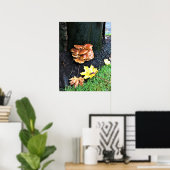 Paddenstoelen in een boom, Oregon Poster (Thuiskantoor)