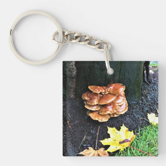 Paddenstoelen in een boom, Oregon Sleutelhanger (voorkant)