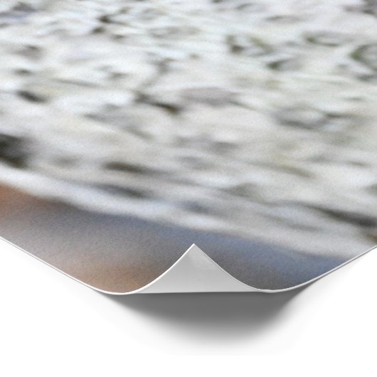 Paddenstoelen in een Tree Poster (Hoek)