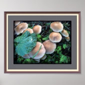 Paddenstoelen in gras Poster (Voorkant)