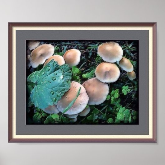 Paddenstoelen in gras Poster (Voorkant)