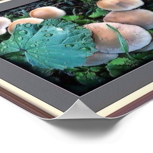 Paddenstoelen in gras Poster (Hoek)