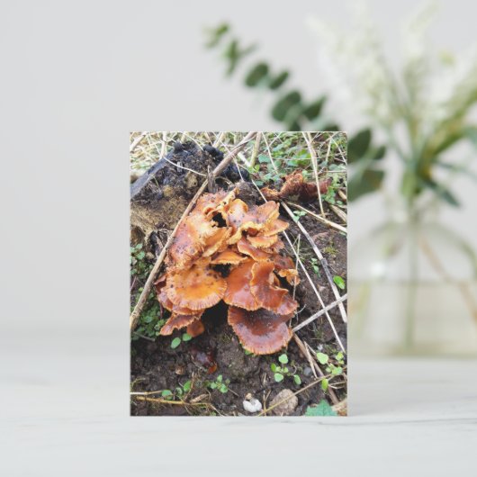 Paddenstoelen in het bos briefkaart (Staand voorkant)