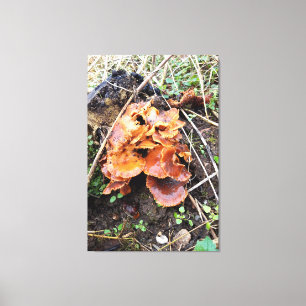 Paddenstoelen in het bos canvas afdruk