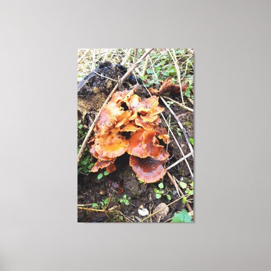 Paddenstoelen in het bos canvas afdruk (Voorkant)