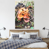 Paddenstoelen in het bos canvas afdruk (Insitu (Slaapkamer))