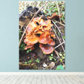 Paddenstoelen in het bos canvas afdruk (Insitu (Houten vloer))