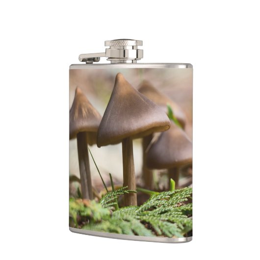 Paddenstoelen in het bos heupfles (Links)