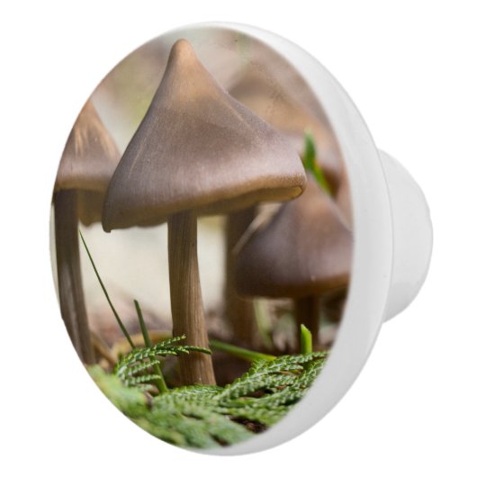 Paddenstoelen in het bos keramische knop (Rechts)