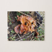 Paddenstoelen in het bos legpuzzel (Horizontaal)