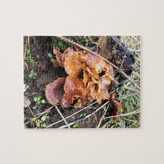 Paddenstoelen in het bos legpuzzel (Horizontaal)