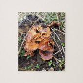 Paddenstoelen in het bos legpuzzel (Verticaal)