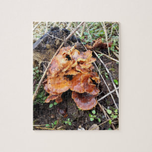 Paddenstoelen in het bos legpuzzel