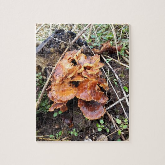 Paddenstoelen in het bos legpuzzel (Verticaal)