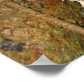 Paddenstoelen in het bos poster (Hoek)