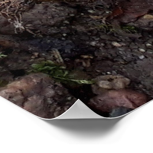 Paddenstoelen in het bos poster (Hoek)