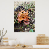 Paddenstoelen in het bos poster (Keuken)