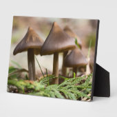 Paddenstoelen in het Forest Photo Block Fotoplaat (Zijkant)