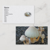 Paddenstoelen in Mulch - Leucoagaricus americanus Visitekaartje (Voorkant / Achterkant)