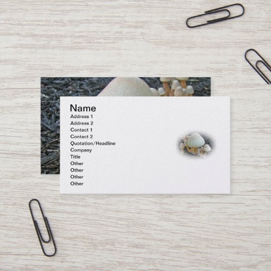 Paddenstoelen in Mulch - Leucoagaricus americanus Visitekaartje (Voorkant / Achterkant in situ)
