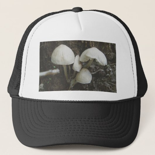 Paddenstoelen in pompPet Trucker Pet (Voorkant)