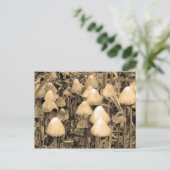 Paddenstoelen in Sepia Briefkaart (Staand voorkant)