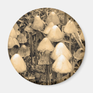 Paddenstoelen in Sepia Magneet