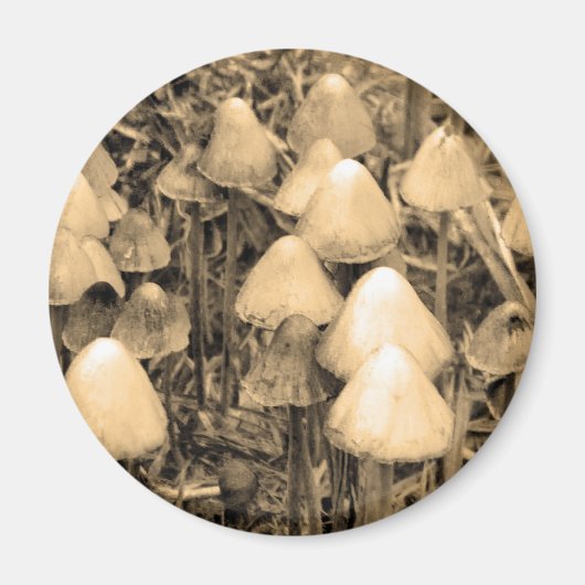Paddenstoelen in Sepia Magneet (Voorkant)
