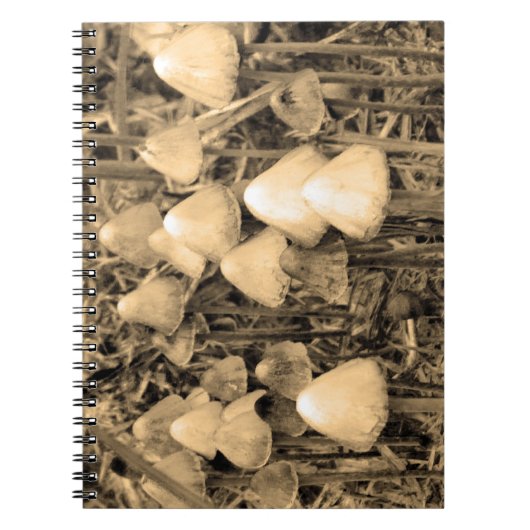 Paddenstoelen in sepia notitieboek (Voorkant)