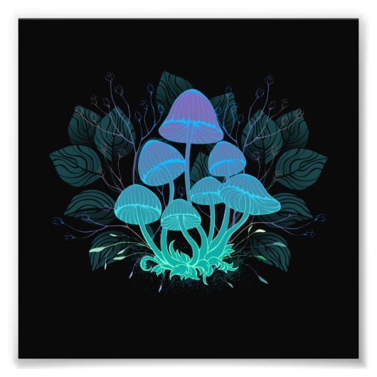 Paddenstoelen in struiken foto afdruk (Voorkant)