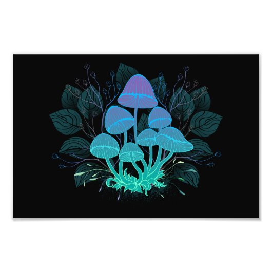 Paddenstoelen in struiken foto afdruk (Voorkant)