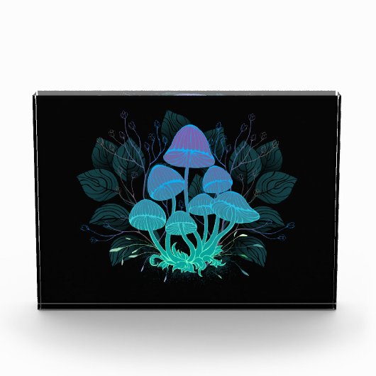Paddenstoelen in struiken fotoblokken (Voorkant)