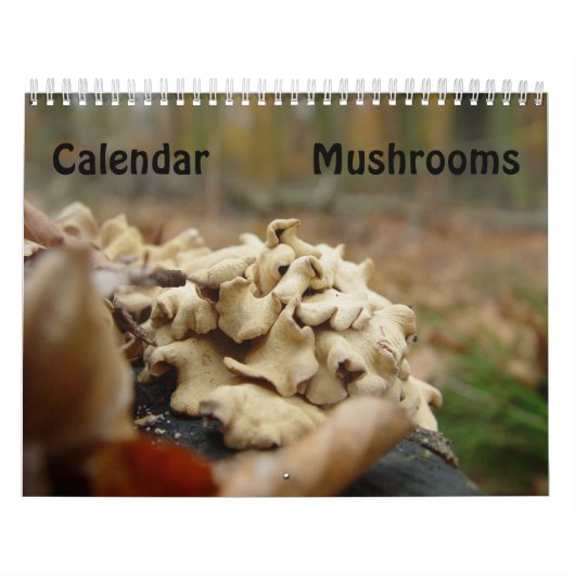 paddenstoelen kalender (Hoes)