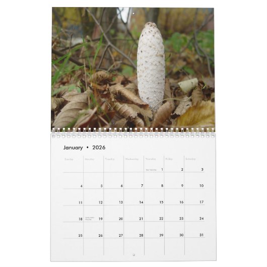 paddenstoelen kalender (Jan 2026)