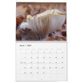 paddenstoelen kalender (Mar 2027)