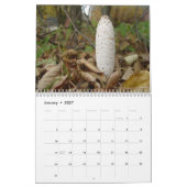paddenstoelen kalender (Jan 2027)