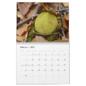 paddenstoelen kalender (Feb 2027)