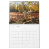 paddenstoelen kalender (Jan 2027)