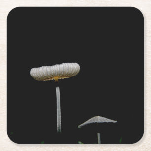 paddenstoelen kartonnen onderzetters